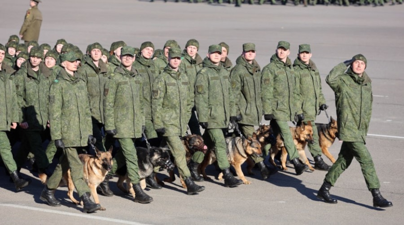 Минобороны: служебные собаки впервые примут участие в военном параде ко Дню Победы