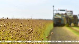 Какое состояние посевов льна, рассказали в Белгидромете