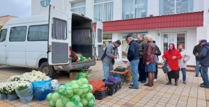Ярмарка в Березино приглашает