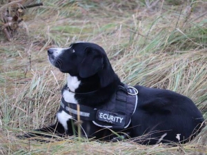 Подробности поисков пропавшего подростка в Минской области