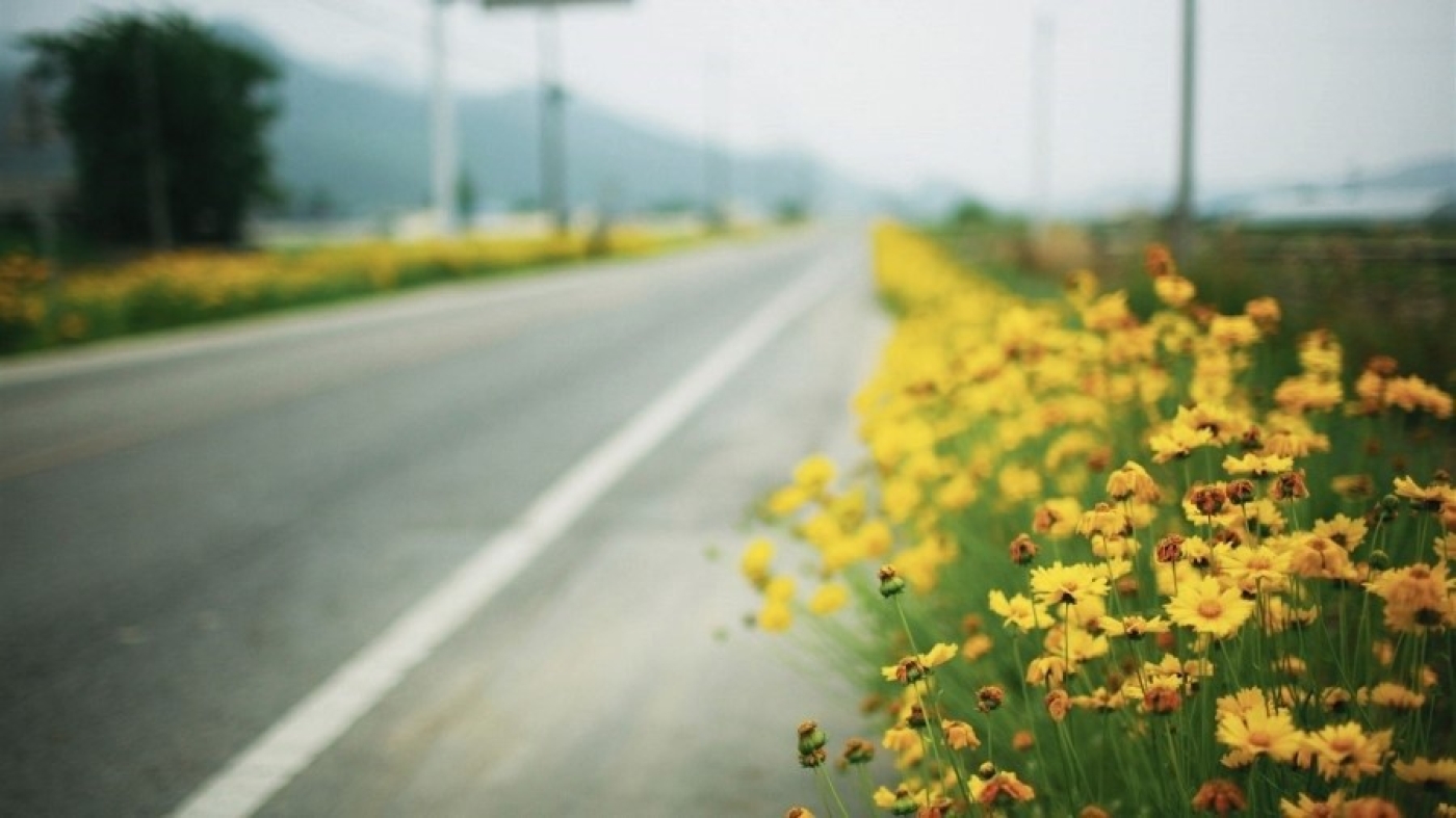 Уважаемые друзья, коллеги-дорожники и автомобилисты, ветераны отрасли!