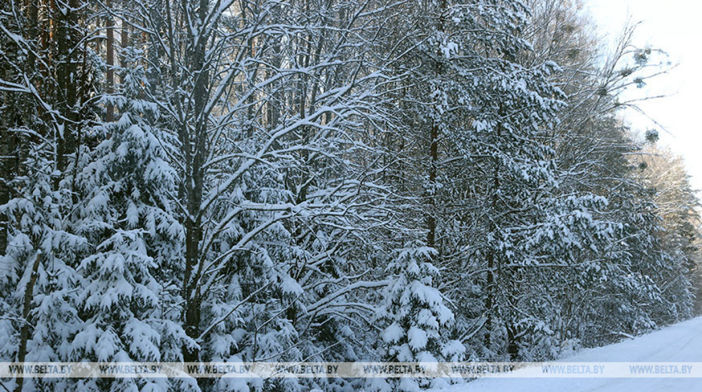 Интерактивную карту особо охраняемых природных территорий разрабатывают в Беларуси