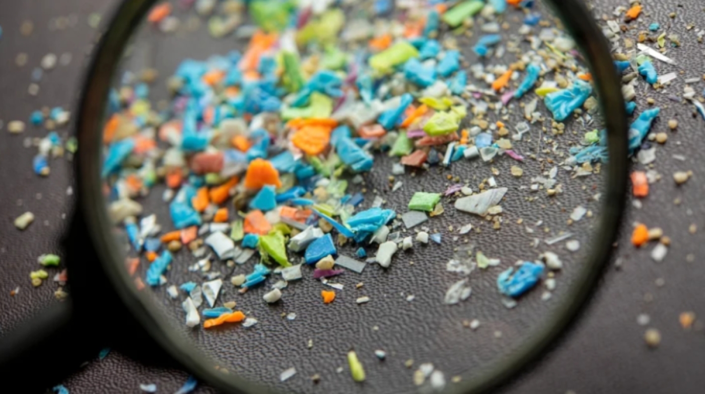 Количество микропластика в человеческом мозге увеличилось на 50% за последние 8 лет