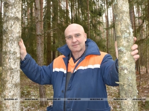Сергей Слабко: из столичной суеты — к жизни в гармонии с лесом