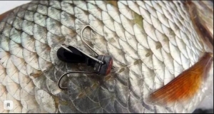 Багрение рыбы - это варварство