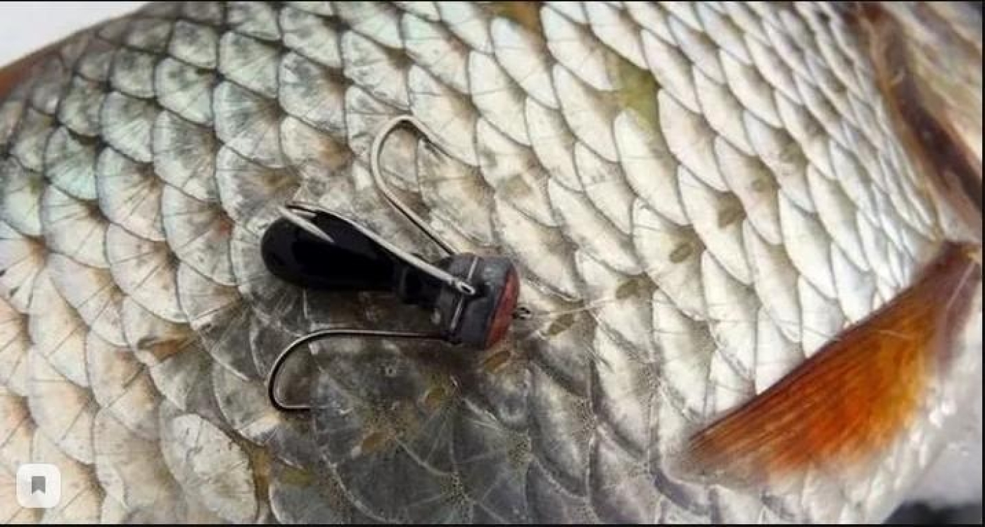 Багрение рыбы - это варварство