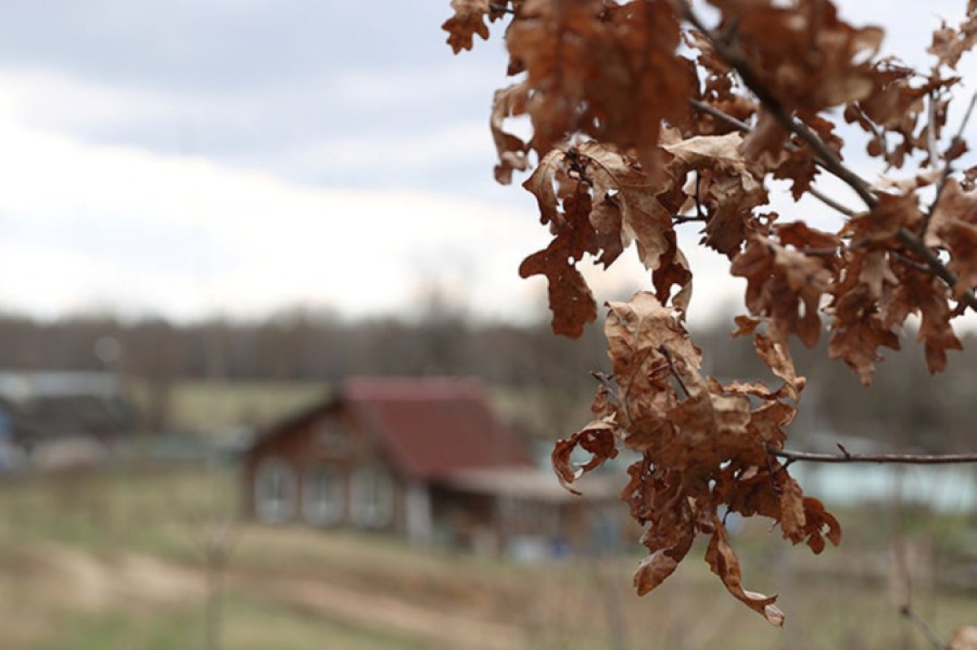 В предстоящей пятилетке в Минской области особое внимание уделят сельской инфраструктуре