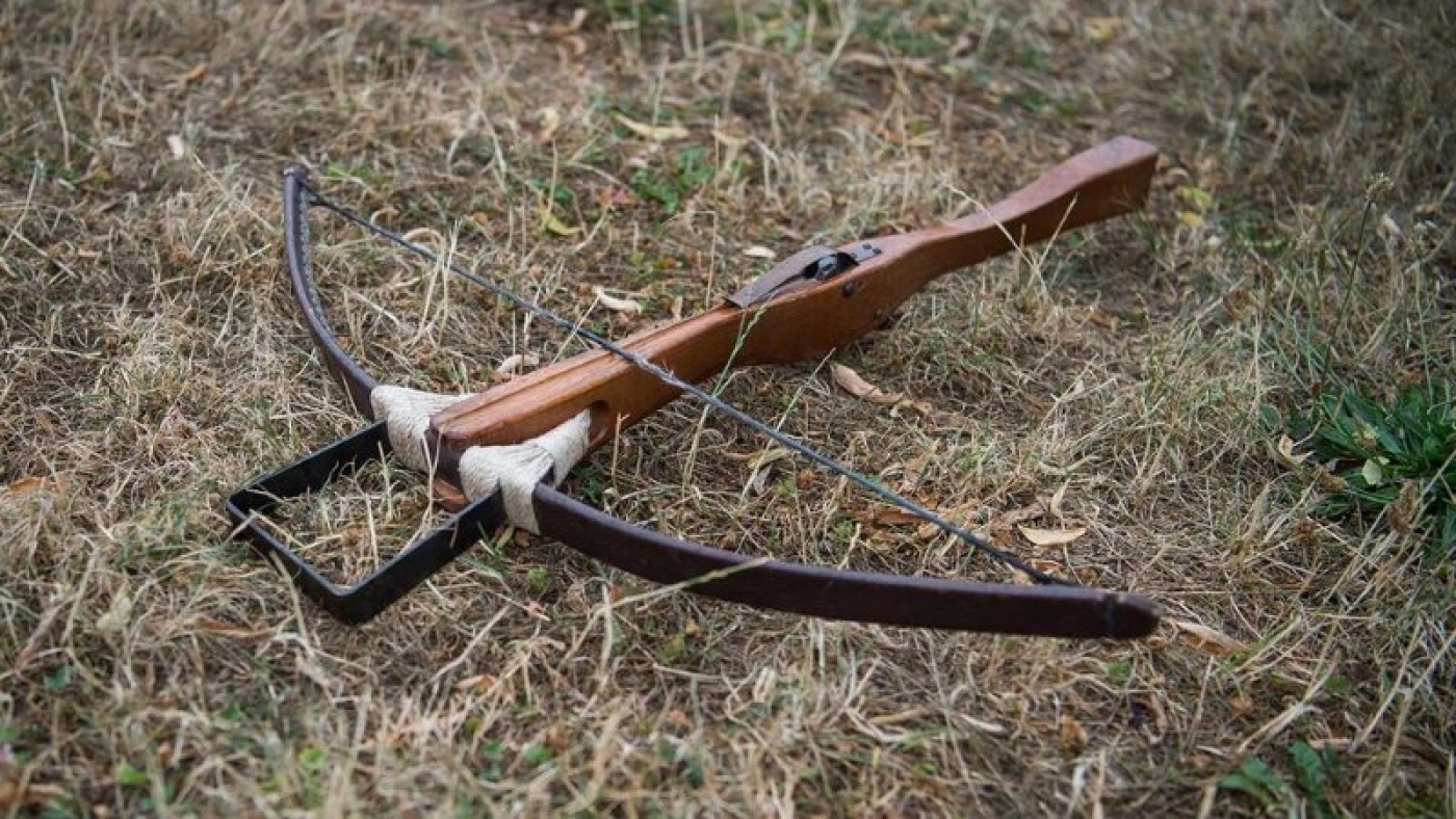 В Жлобине из арбалета подстрелили кота. Живодера разыскивает милиция