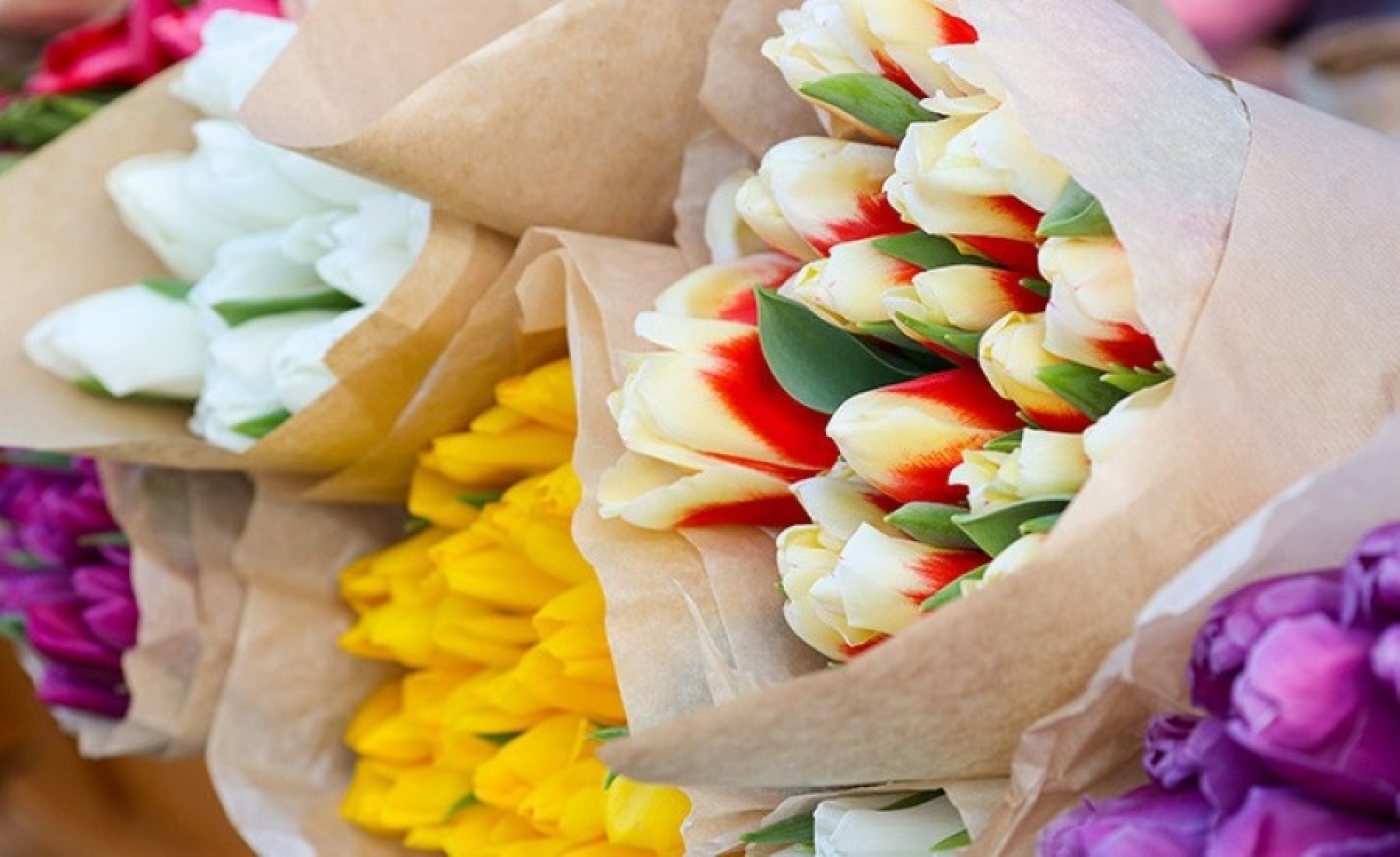 Тюльпановый обман. Лидчанин хотел сделать бизнес на цветах, но заплатил мошеннику