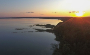 Ученые готовят паспорта мест, где в Беларуси растут редкие растения