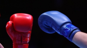 Боксеры разыграют 25 комплектов наград на чемпионате Беларуси в "Стайках"