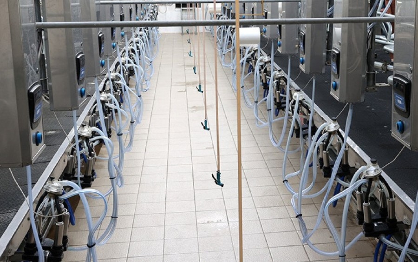 В Беларуси с господдержкой построят 60 молочно-товарных комплексов в 2025-2026 годах